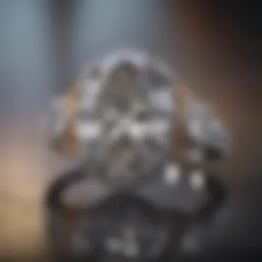 Diverse Settings for Oval and Round Diamonds Various Settings for Diamond Rings