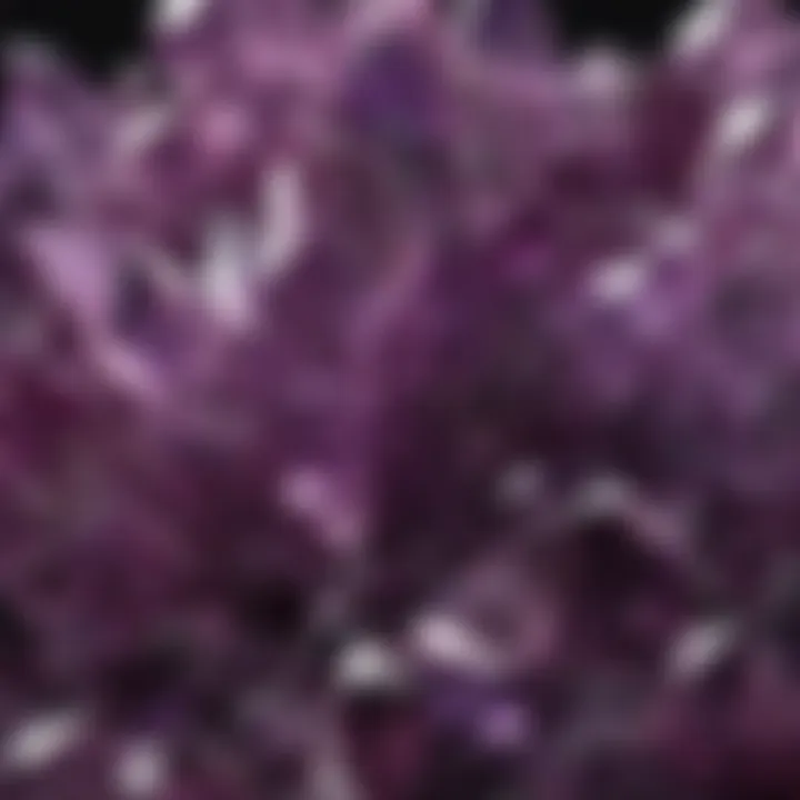 An array of various purple crystals arranged aesthetically on a display.