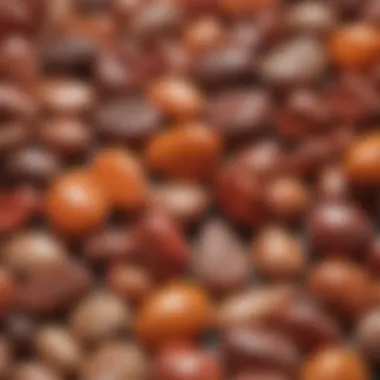 A geological display of various reddish-orange stones showcasing their diversity.