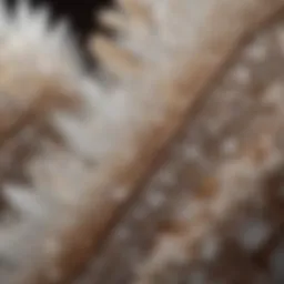 Close-up view of white crystal with intricate brown spots highlighting its unique patterns