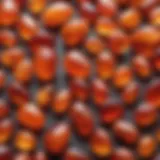 Close-up of polished carnelian stones showcasing their vibrant colors