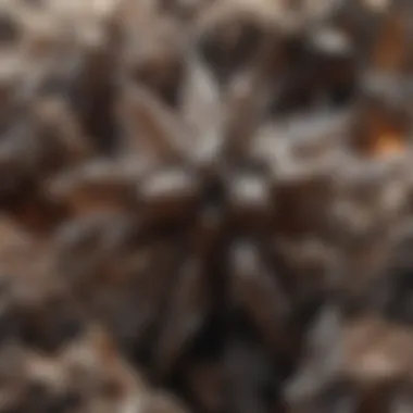 Staurolite Crystal Structure Close-up view of staurolite crystals showcasing their unique cross-shape