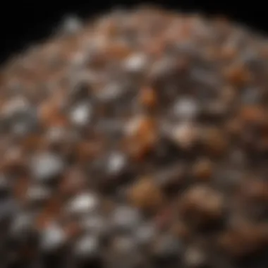 Diverse Staurolite Specimens A collection of staurolite specimens from various locations