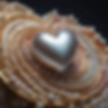 Nacre Layers: The Heart of a Pearl Diagram illustrating the layers of nacre within a pearl